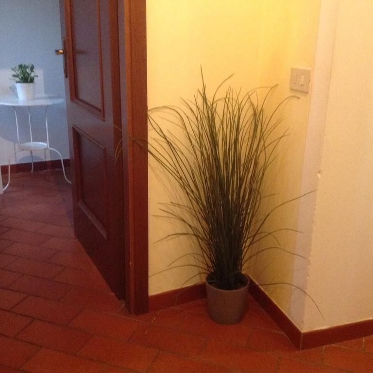 Apartmán Tuscany House Centro Citta Pisa Exteriér fotografie
